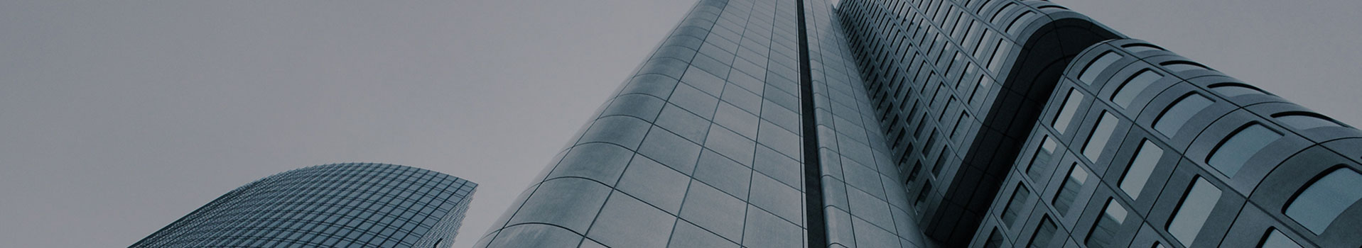 Profil de l'entreprise